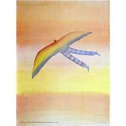 Folon   Amnesty international #2029770