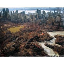 Christo   The Gates Project, Photo #30 #2030501