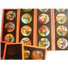 Image 1 : Magic Lantern Glass Slides #2031743