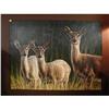 Image 1 : ARTIST SIGNED DEAR DOE OIL CANVAS PAINTING #2055457