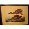 Image 1 : PRINT OF TWO BIRDS, FRAMED AND MATTED #2073613