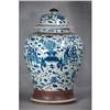 Chinese  Blue  and  White  Porcelain  Jar #2073717