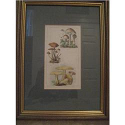 one of four mushroom prints #2026550