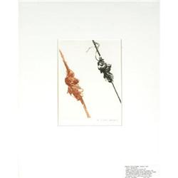 Signed and Numbered Titus-Carmel Lithograph #2051702