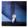 Image 1 : Mapplethorpe  African Daisy  Photographic Paper#2051706