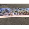 Image 1 : Background scene screen for movie production - forested area from production company set - 125ft L x