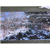 Image 6 : Background scene screen for movie production- rural backyard scene - 28ft L x 14ft W