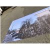 Image 2 : Background scene screen for movie production - snowy suburb neighbourhood - 26ft L x 14ft W