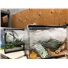 Image 2 : Three Small aquarium & lots of aquarium accessories - fake plants/etc...