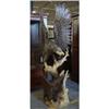 Image 1 : EAGLE RELIEF ARCHITECTURAL ART SCULTURE STATUE #2023484
