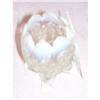 Image 1 : NORTHWOOD Whimsey 1901 White Opal Rose Bowl #2023571