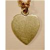 Image 1 : Tiny 14K Heart & Chain #2063934