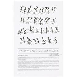 Cutler- Shaw   Alphabet of Bones #2065236