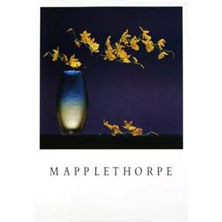 Mapplethorpe   Flowers in a Vase #2065251