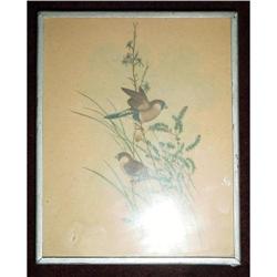 Birds watercolor #2066616