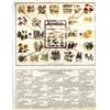 Image 1 : Vintage Navajo Weaver Materials & Dye Chart