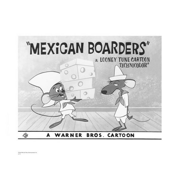 Warner Brothers Hologram Mexican Boarders