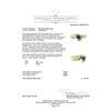 Image 5 : 0.99 ctw Blue Sapphire And Diamond Ring - 14KT Yellow Gold