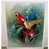 Image 1 : Parrots and Birds of Paradise 17" x 21" Framed #2009240
