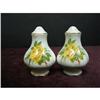 Image 1 : ROYAL ALBERT SALT&PEPPER SHAKERS/Roses #2009425