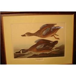 PRINT OF TWO BIRDS, FRAMED AND MATTED #2036749