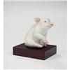 Image 1 : Lladro - Piglet #2037205
