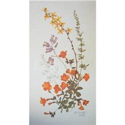 Set of Botanical Wildflowers by Britzke #2048374