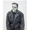 Image 2 : FRANKENSTEIN 12 IN HIGH DETAIL ACTION FIGURE