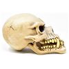 Image 2 : LIFE SIZE SCARY SKULL REPLICA RESIN HAND PAINTED