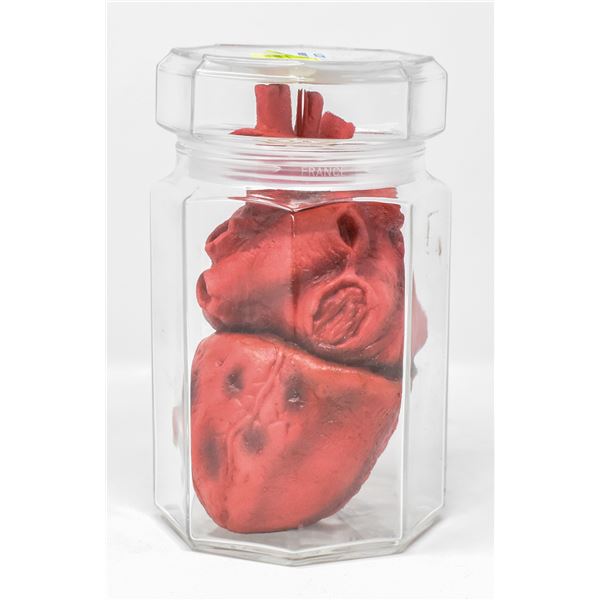 REPLICA HUMAN HEART IN GLASS JAR SET