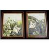 Pair Of Oil Paintings On Board Of Baby Cats  #2047260
