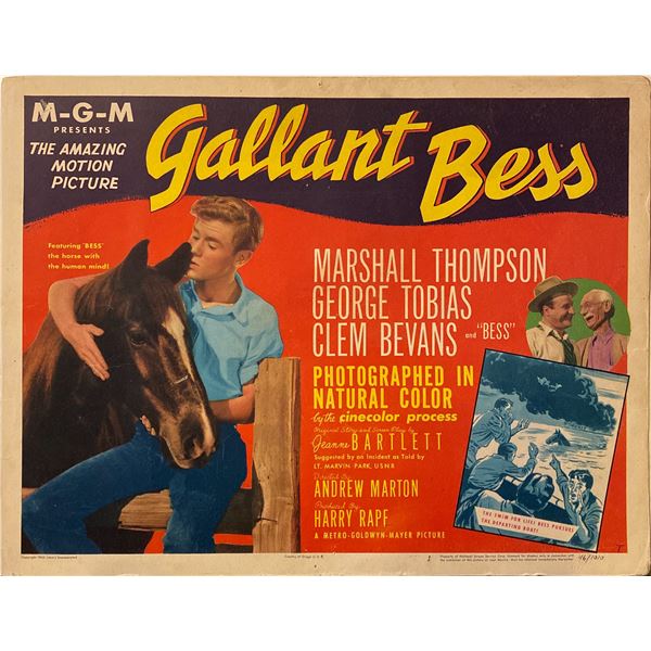 Gallant Bess 1946 Original Vintage Lobby Card