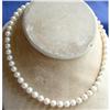 Image 1 : Necklace - Akoya Pearls  #2007181