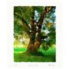 Image 1 : "Sprawling tree" Author's lithograph big size  #2007309