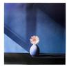 Image 1 : Mapplethorpe   African Daisy photographic paper#2007750