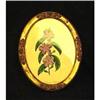 Image 1 : Antique Hand-Painted Botanical #2008092
