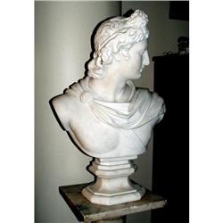 Carrara Marble God Apollo bust sculpture #2035236