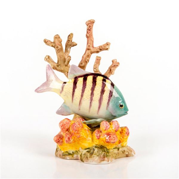 Royal Worcester Fish Figurine, Sergeant Major RW3575