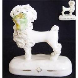 Staffordshire Pottery Model Of A White Poodle #2006506