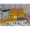 Image 1 : 10 License Plates
