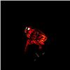 Image 3 : 2007 SCS Red Heart - Swarovski Crystal Figure
