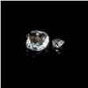 Image 2 : 2 Swarovski Crystal Figurine Shells