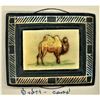 Image 3 : A CARD OF DIV 1 & 3 ASSORTED MATERIAL ASSORTED ANIMALS