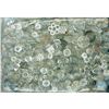 Image 1 : A LARGE BAG LOT OF CLEAR GLASS BUTTONS