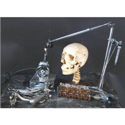 Lot of Dental tools & skull including drill and rack of