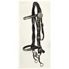 Image 1 : Heiser Studded Bridle