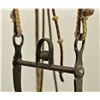 Image 3 : Rawhide & Leather Bridle