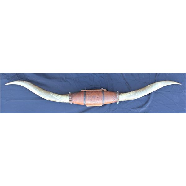 Texas Longhorn Mount