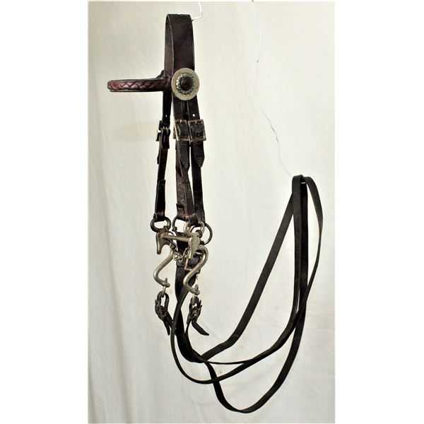 Salesmans Sample Size Bridle