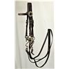 Image 1 : Salesmans Sample Size Bridle